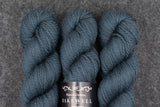 Essai Bleu vert •  P'tits Prix - BFL ARAN SW (N)