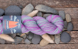 Le New Wave II • BFL 100% FG SW AR
